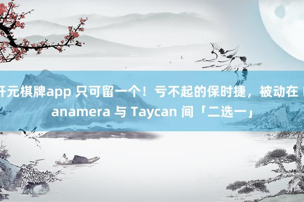开元棋牌app 只可留一个！亏不起的保时捷，被动在 Panamera 与 Taycan 间「二选一」
