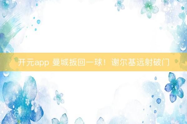 开元app 曼城扳回一球！谢尔基远射破门