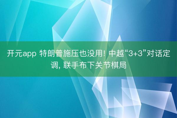 开元app 特朗普施压也没用! 中越“3+3”对话定调, 联手布下关节棋局
