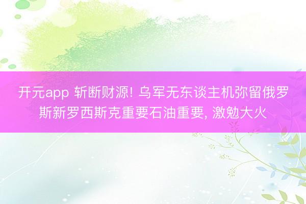 开元app 斩断财源! 乌军无东谈主机弥留俄罗斯新罗西斯克重要石油重要， 激勉大火