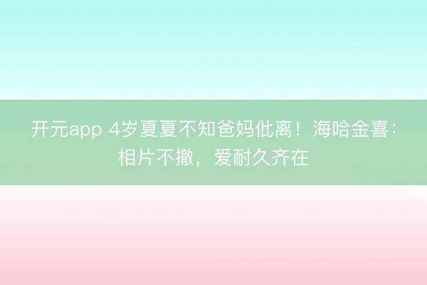 开元app 4岁夏夏不知爸妈仳离！海哈金喜：相片不撤，爱耐久齐在