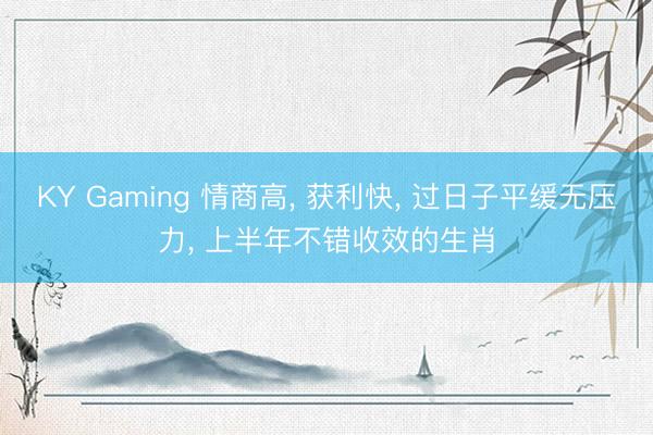 KY Gaming 情商高， 获利快， 过日子平缓无压力， 上半年不错收效的生肖
