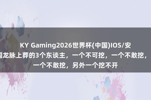 KY Gaming2026世界杯(中国)IOS/安卓官方下载 我国龙脉上葬的3个东谈主,一个不可挖,一个不敢挖,另外一个挖不开