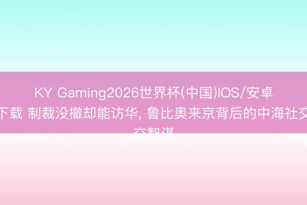 KY Gaming2026世界杯(中国)IOS/安卓官方下载 制裁没撤却能访华, 鲁比奥来京背后的中海社交智谋