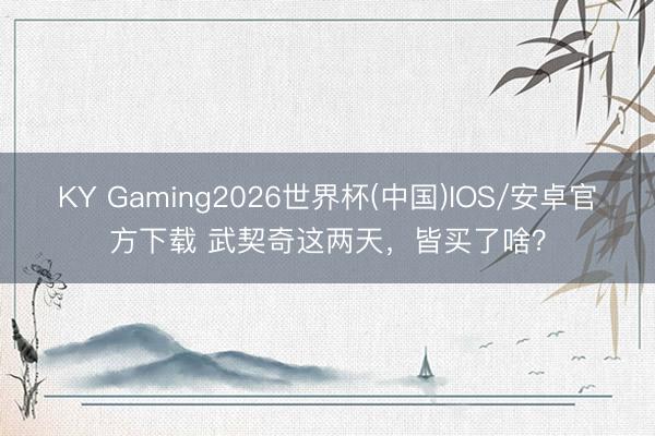 KY Gaming2026世界杯(中国)IOS/安卓官方下载 武契奇这两天，皆买了啥？