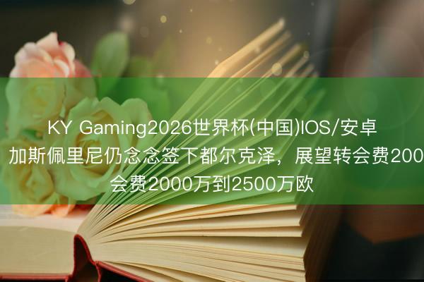 KY Gaming2026世界杯(中国)IOS/安卓官方下载 米体:加斯佩里尼仍念念签下都尔克泽,展望转会费2000万到2500万欧