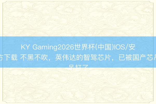 KY Gaming2026世界杯(中国)IOS/安卓官方下载 不黑不吹,英伟达的智驾芯片,已被国产芯吊打了