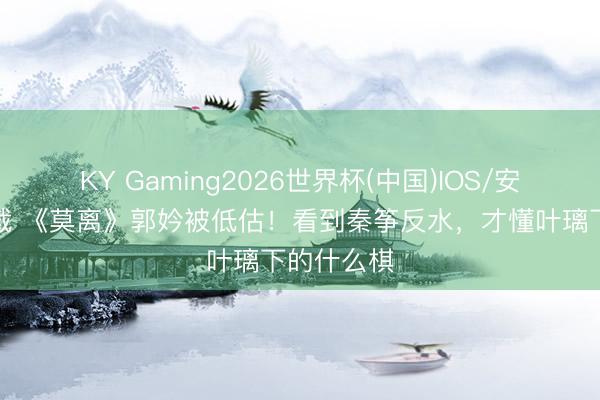 KY Gaming2026世界杯(中国)IOS/安卓官方下载